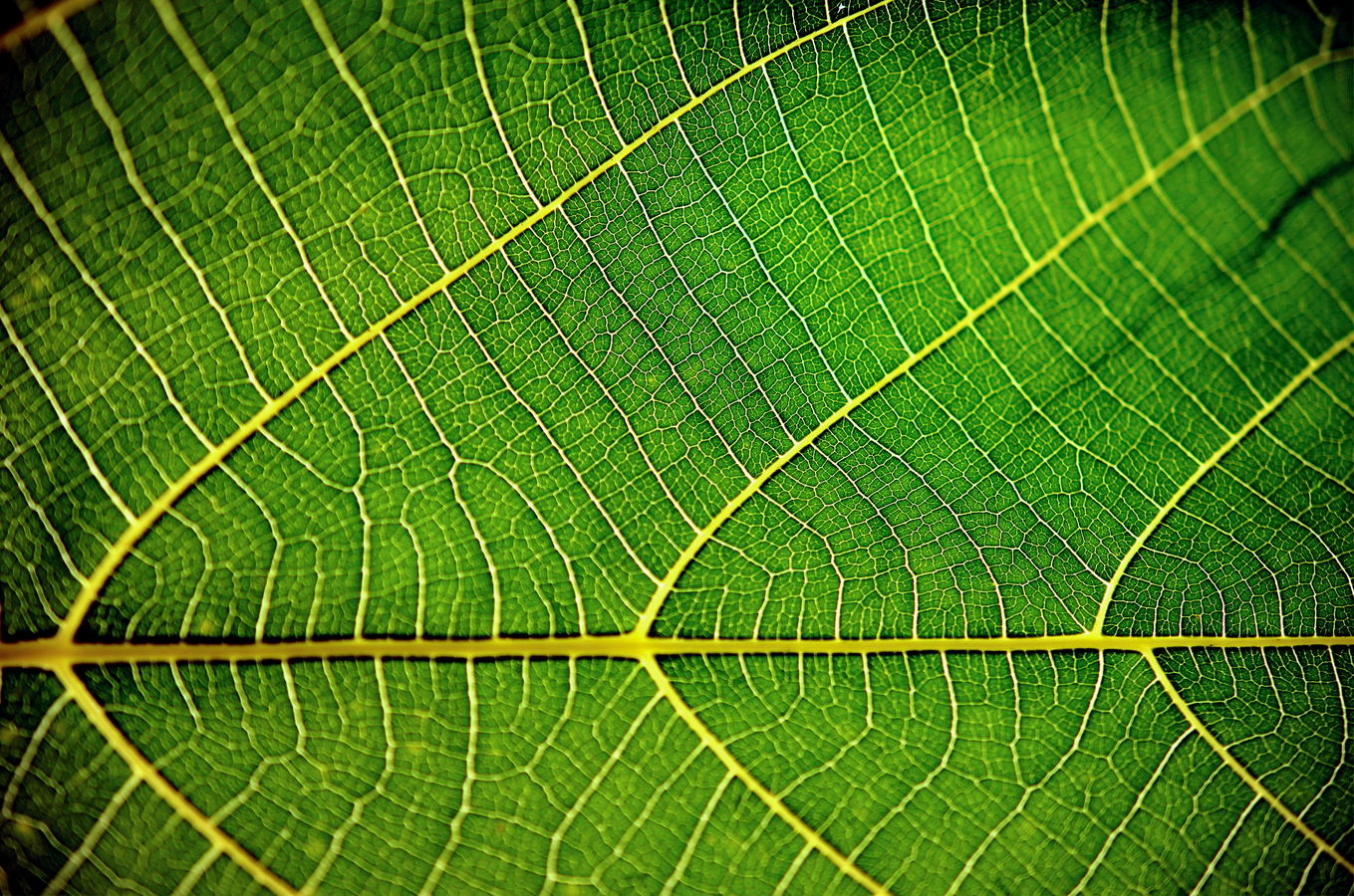 lukas-tennie-2SP_ox1ZBB4-unsplash.jpg