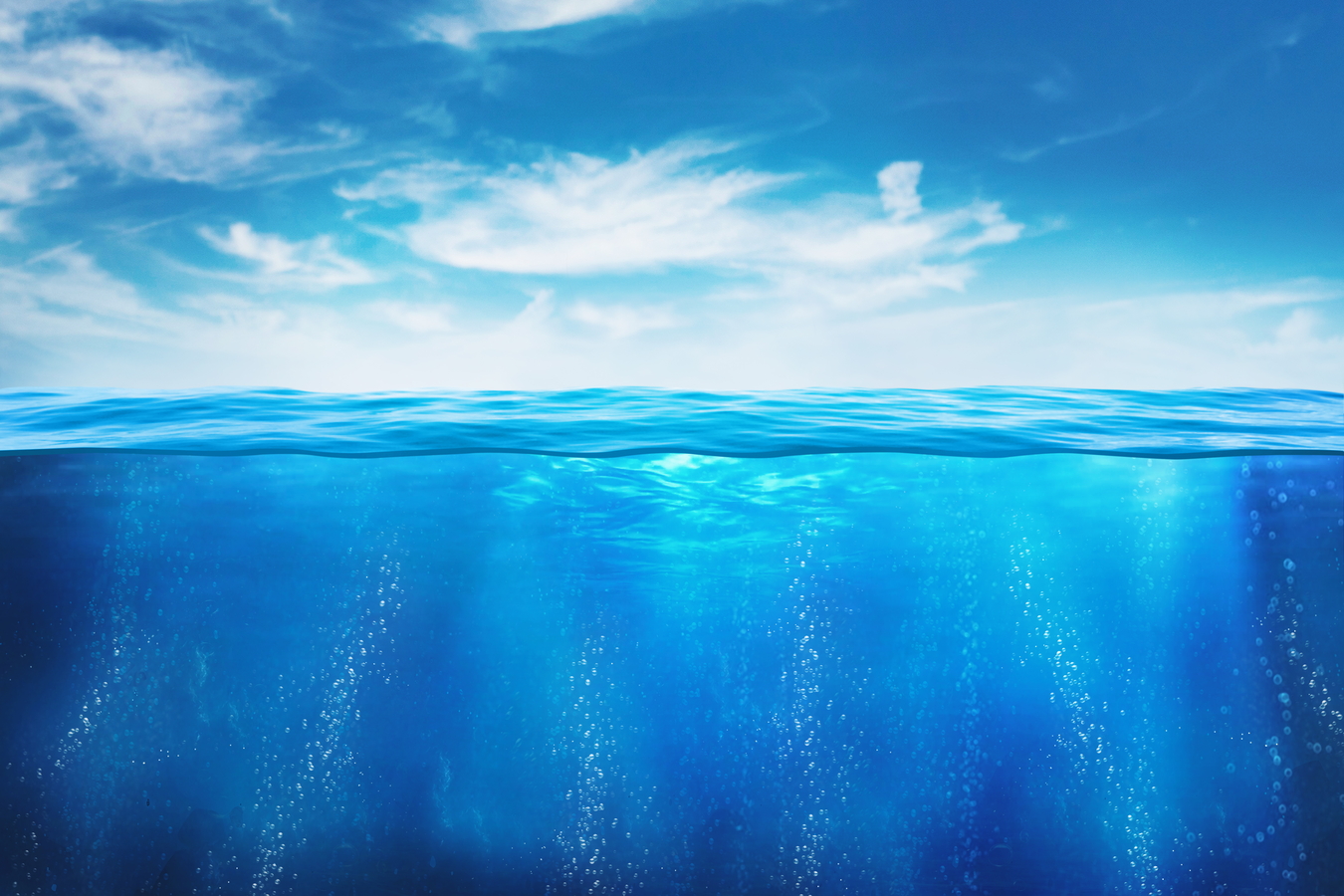 Ocean