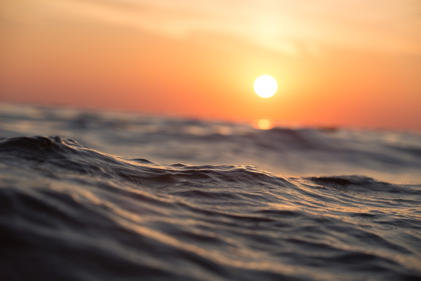 ocean-1867285_1920.jpg