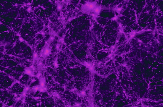 Dark Matter Visualization