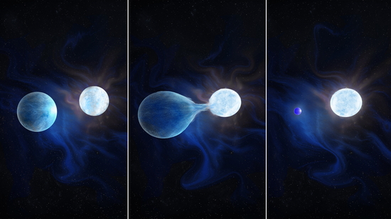 An artist’s conception of the hydrogen being stripped from one half of a binary system, leaving a very hot, helium rich exposed core that will eventually explode as a hydrogen-poor core collapse supernova. Credit: by Navid Marvi, courtesy of the Carnegie Institution for Science. 