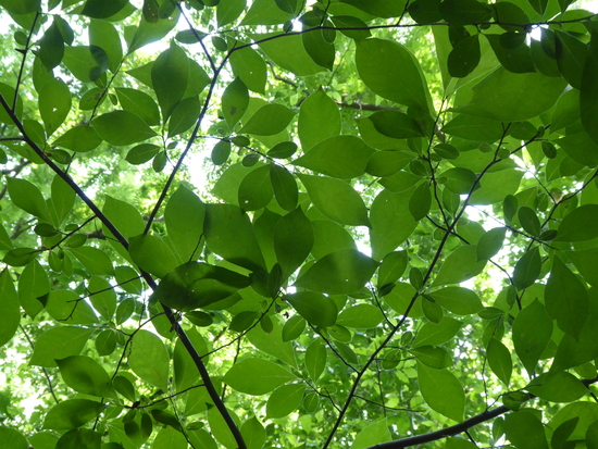 Photo by Karin Kim on Unsplash