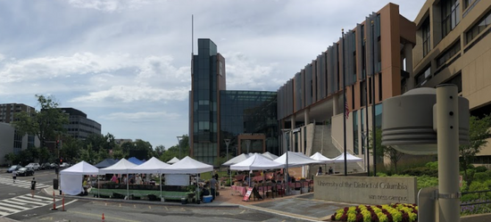Farmers Market at Van Ness