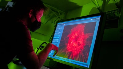 A scientist studies the screen in a darkened lab showing a red, magnified image of a sea anemone