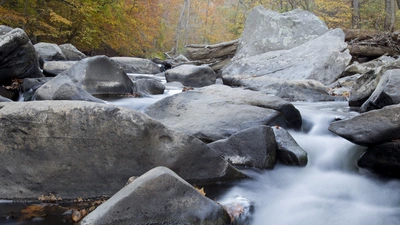 Rock Creek Park - Boulder in Creek - Fall Foliage - Photo  Katy Cain