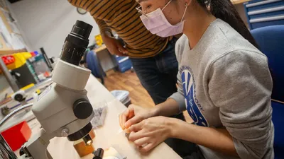 Jill Yang Helping Postdoc 