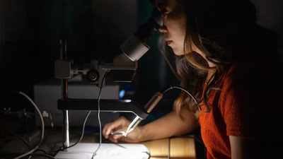 Kara Brugman welds a platinum capsule that will hold the sample (a tiny pocket of magma) for an experiment.