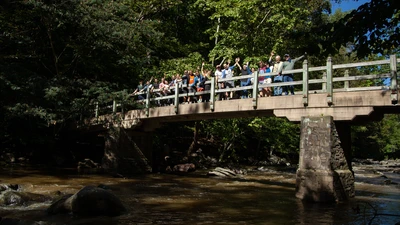 Postdocs and scientists cheer on Rapids Bridge in Rock Creek Park during Postdoc Appreciation Day