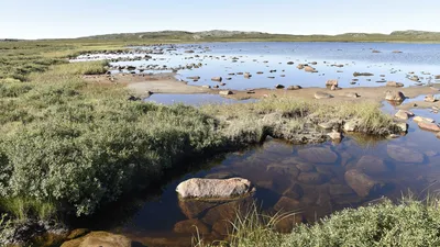 A craton of ancient rock that makes up much of the Northern Canadian shield,