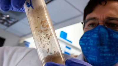 Will Ludington inspects a vial of flies in his lab
