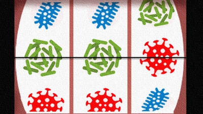 Artist's conception of gut microbiome as slot machine by Navid Marvi, courtesy of the Carnegie Institution for Science