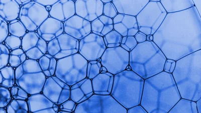 will ludington - bubble illustration