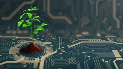 Illustration of a plant growing on a computer chip purchased from Shutterstock.