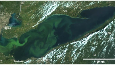 Great Lakes algal bloom - Lake Erie