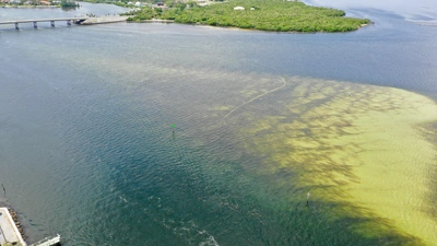 Aerial view of red tide algal bloom along Florida’s gulf coast