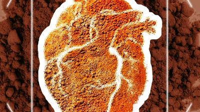 Artist's conception of a research project to identify the chemical components of cinnamon oil that show effectiveness against cardiovascular disease-causing fats