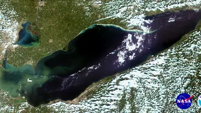 A satellite photo of Lake Erie in 2014 showing that year's algal bloom in the western basin. 2017's bloom is expected to resemble 2014's. Image is courtesy of NASA and NOAA. 