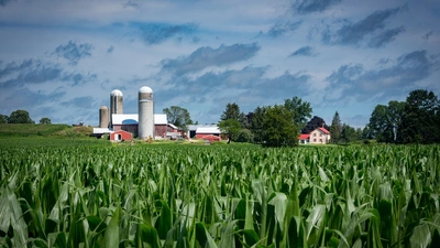 Midwest Farm