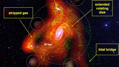  The cold and dense circumgalactic gas around a nearby galaxy Messier 81, showing the diverse origins of the gas.