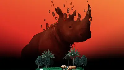 Artist’s concept illustrating the rhino's decreasing geographical range and loss of genetic variability. Artwork is courtesy of Mark Belan | artscistudios.com.