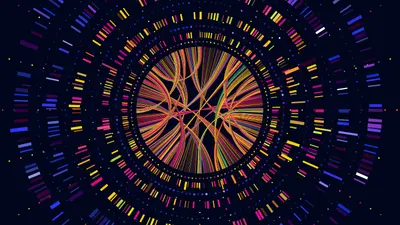 Genome data. Genetics sequence barcode visualisation, dna test and genetic medical sequencing map. Genomics genealogy sequencing data, chromosome architecture vector concept illustration