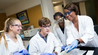 CASE Summer Stars students working in the lab on a group activity. 