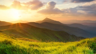 The sun rises over a mountain meadow. 