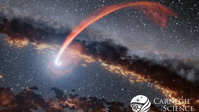The tidal stripping of a star close to the central black hole of a galaxy (artist's rendition)