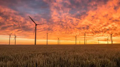 Wind turbines in a field by Karsten Würth from Unsplash