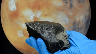 Tissint meteorite courtesy of Kurt Kracher, Museum of Natural History Vienna