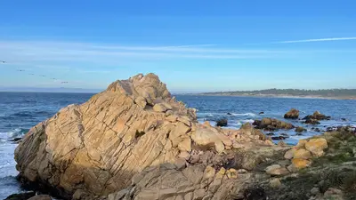 Marine coastline by Isabella Smith via Unsplash