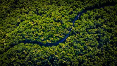 River winding through forest canopy courtesy of Unsplash