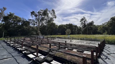 Moises Exposito-Alonso