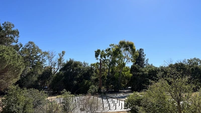 Moises Exposito-Alonso fieldwork experiment site at Stanford University campus