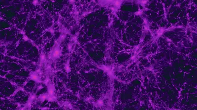 Dark Matter Visualization