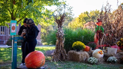 Guessing a pumpkin's weight at BBR
