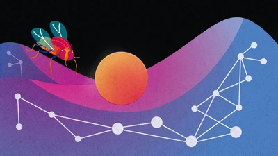 Artist’s conception of this new approach to revealing master regulator genes and species that affect evolutionary diversification. Credit: By Navid Marvi, courtesy of the Carnegie Institution for Science. 