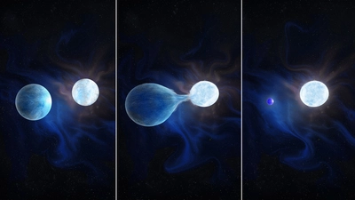 An artist’s conception of the hydrogen being stripped from one half of a binary system, leaving a very hot, helium rich exposed core that will eventually explode as a hydrogen-poor core collapse supernova. Credit: by Navid Marvi, courtesy of the Carnegie Institution for Science. 