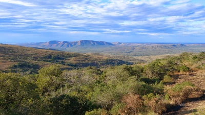 Africa