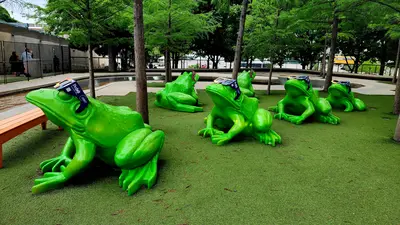 Frogs in front of the Perot Museum of Nature and Science sport eclipse glasses