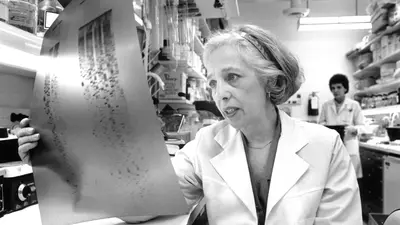 Maxine Singer examines data in the lab in 1989. Photograph by Bruce Reedy Photography. 