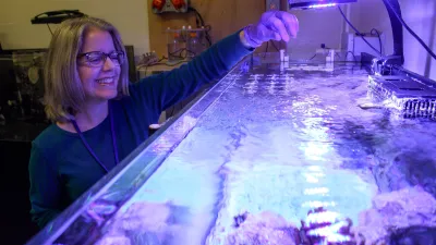 Lynne Hugendubler feeding fish