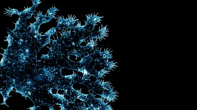 Cell Biology