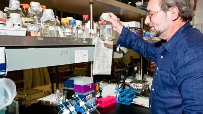 Arthur Grossman in the lab in 2014