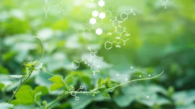 Biochemical landscape