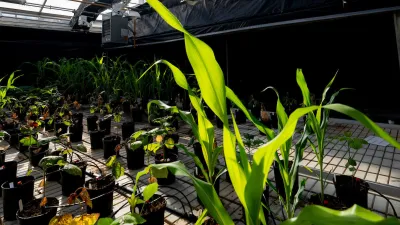 Event photo for Baoye He