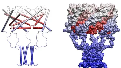 Sergei Sukharev science