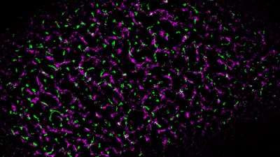Nanoclusters