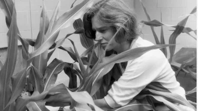 Nina Fedoroff working with maize