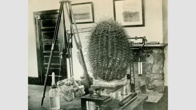 A barrel cactus experiment